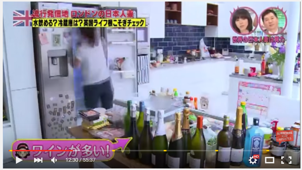 Dom Japan TV fridge shot windowed